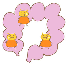 悪玉菌に支配される腸 / 増える黄色ブドウ球菌