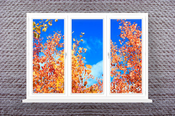 window with view to red leaves of aspens