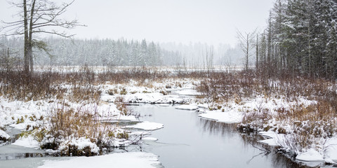 Snowy creek