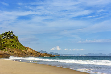 Waves, stones and seagulls on Devil's beach in Ipanema, Rio de Janeiro