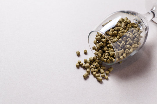 Hop Pellets In A Glass