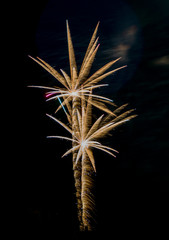 Fireworks2