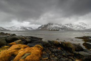 Die Lofoten im Winter