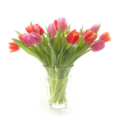 Tulips in a glas vase