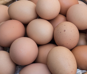 hen egg