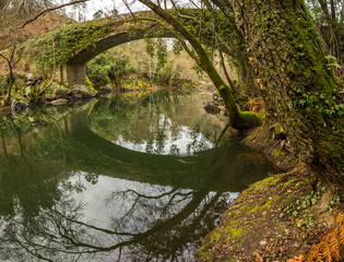 Fototapeta premium Vouzela River Bridge, Portugal