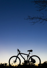 Naklejka na ściany i meble Silhouette of Mountain bike at sunset nder tree on blue sky