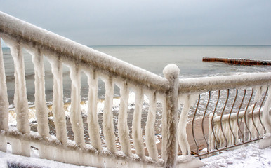 ice covered fence on the beach