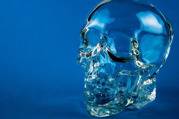 Glass skull with blue background