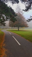 Fototapeta premium foggy morning during winter in a park in oxford