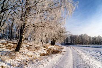 Zima na Podlasiu