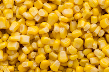 Bulk of yellow corn grains texture.
