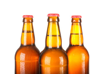 Beer bottles in a row isolated on white