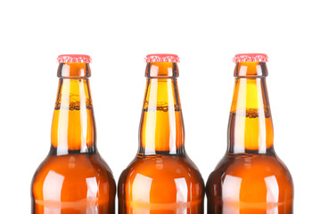 Beer bottles in a row isolated on white