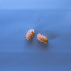 lonely nut on blue background