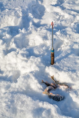 Fish and fishing rod on ice fishing