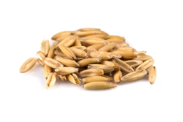 Foto op Canvas pile of organic oat grains © romantsubin