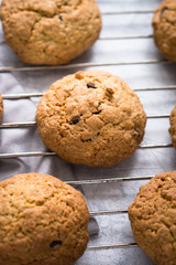 Biscuits with oats and chocolate drops. View from above