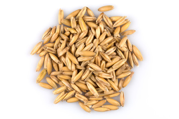 pile of organic oat grains