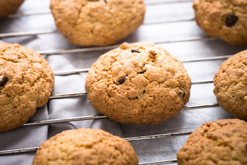 Biscuits with oats and chocolate drops. View from above
