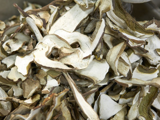 dry mushroom boletus edulis