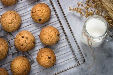 Biscuits with oats and chocolate drops. View from above