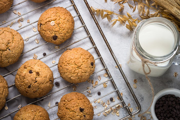 Biscuits with oats and chocolate drops. View from above