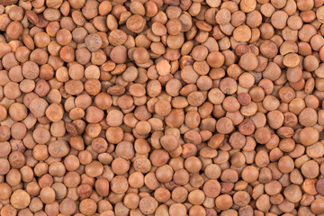 Picture of brown lentils over flat surface