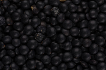 black lentils close up