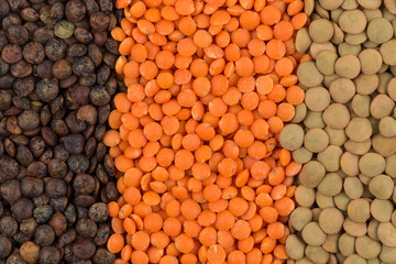 mix of lentils