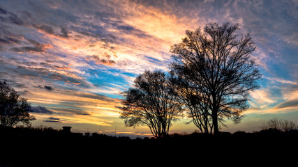 Sunset sky with trees in silhouette