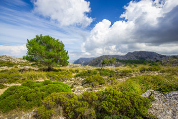 Beautiful view of Sierra de Tramuntana, Mallorca, Spain