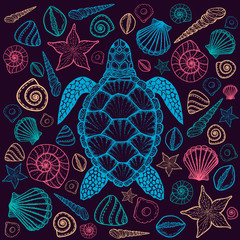 Sea turtle and shells in line art style. Hand drawn vector illustration