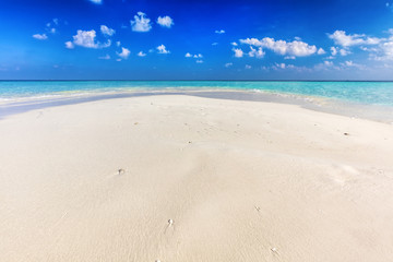 Fototapeta na wymiar Tropical beach with white sand and clear turquoise ocean. Maldives