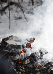 Close-up of a fire in the winter forest of old books, papers, magazines and garbage