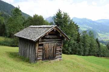 Fototapeta na wymiar Hütte im Auer Ried, Bregenzerwald