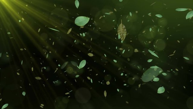Seamless animation of 3d leaves floating in green environment wilderness forest with sunlight shining in blurry background pattern. In tree and leaf nature environment concept in 4k.
