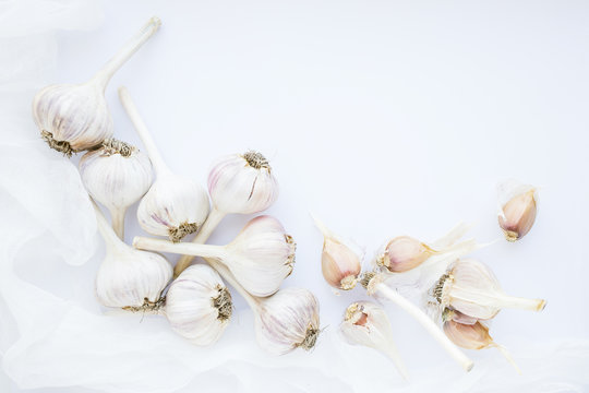 Group of garlic on a white table with gauze