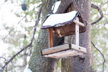 bird house on the tree