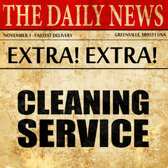 cleaning service, newspaper article text