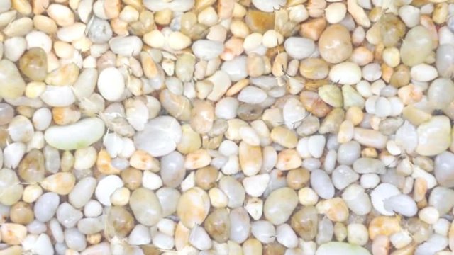 Pebbles under water in a sunny day.