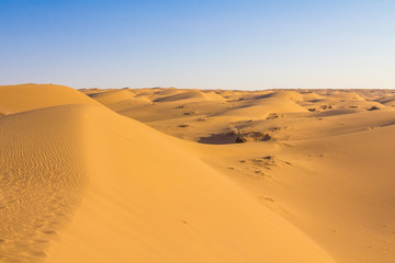 Fototapeta na wymiar Sand dunes in the Maranjab desert, near Kashan, Iran.