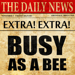 busy as a bee, newspaper article text