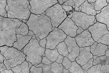 drought cracked earth