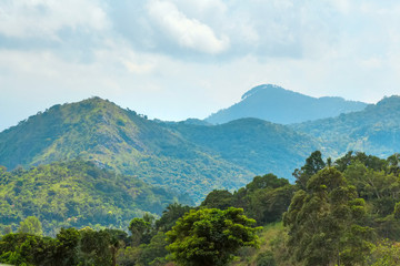 Fototapeta na wymiar Sri Lanka mountain landscape