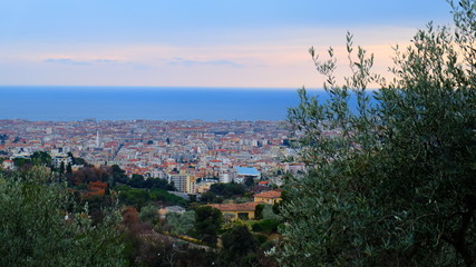 View of Nice City from above