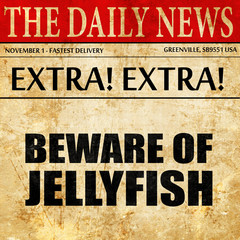 beware of jellyfish, newspaper article text