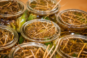 Pickling Cucumbers in glass jars