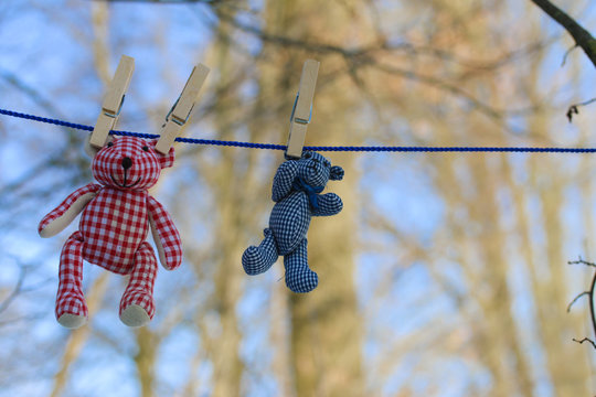 Der B&auml;r und sein Freund an der W&auml;scheleine