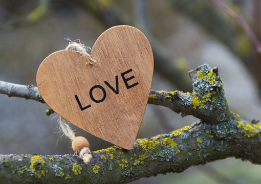 Heart carved out wood. Valentine's day concept background. Wooden Valentine. Symbol of love on the tree